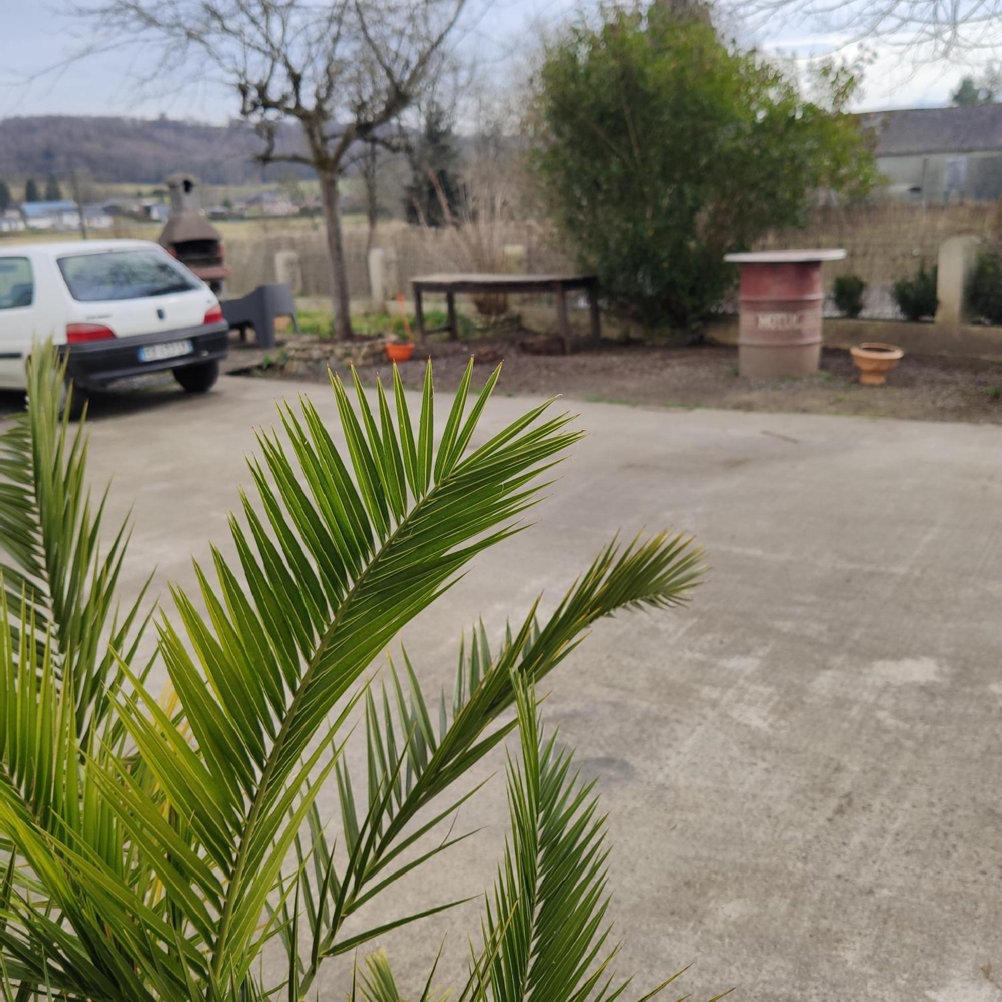 La Maison De Barlest - Lourdes ภายนอก รูปภาพ